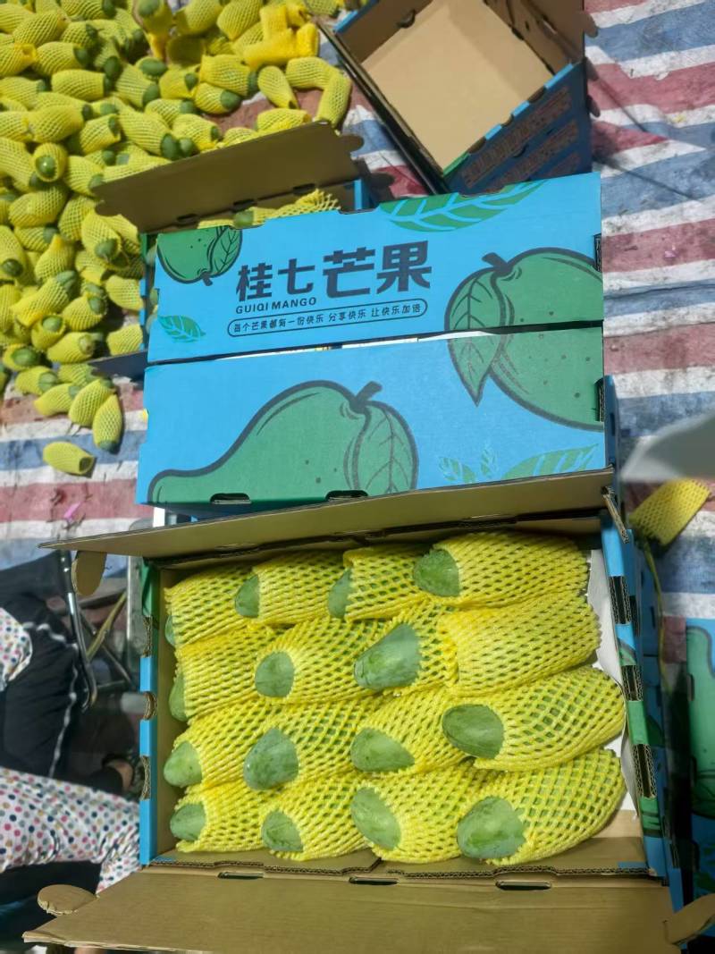 广西百色市田东县正宗桂七芒果