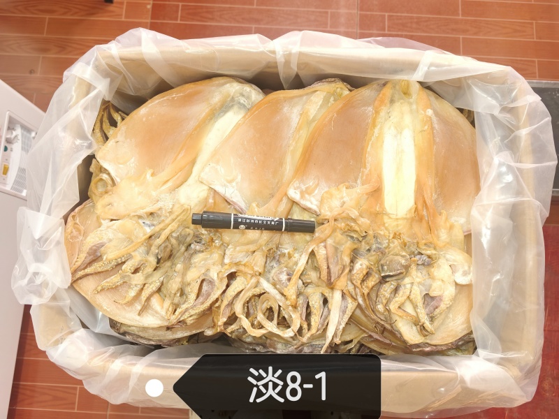 特大墨鱼8-1