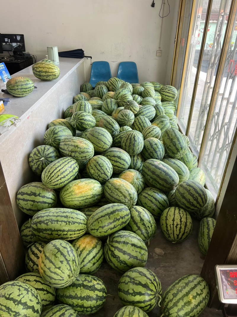 露天西瓜