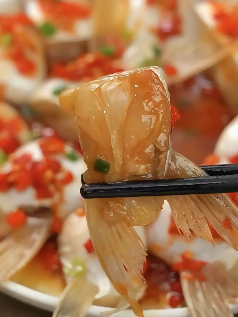 鱼翅