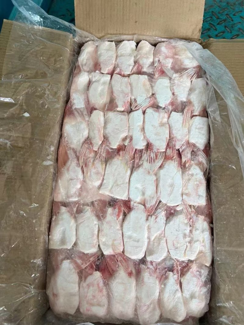 鱼翅
