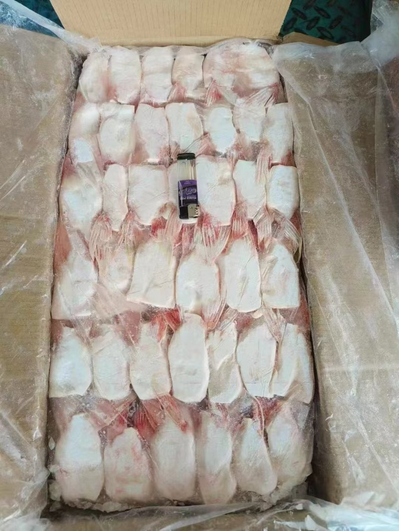 鱼翅