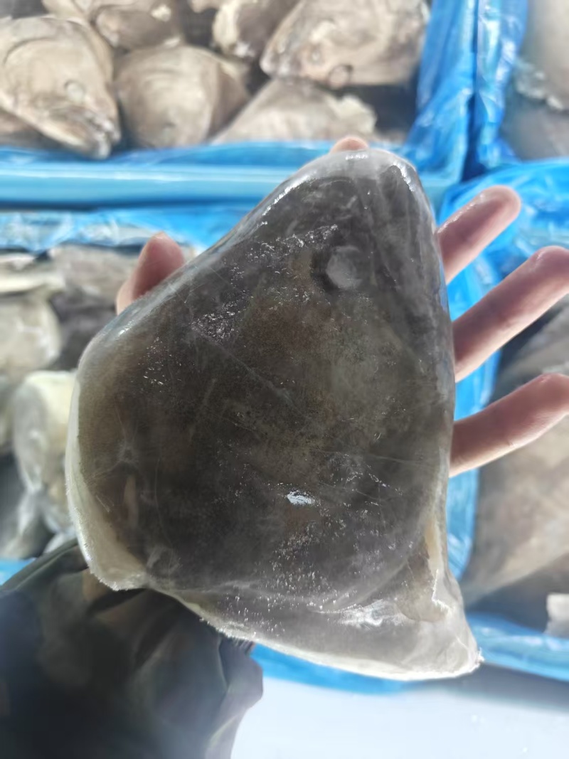 鲽鱼头