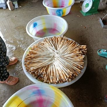 小号，中号，长号，