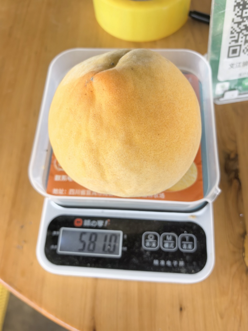套袋黄桃