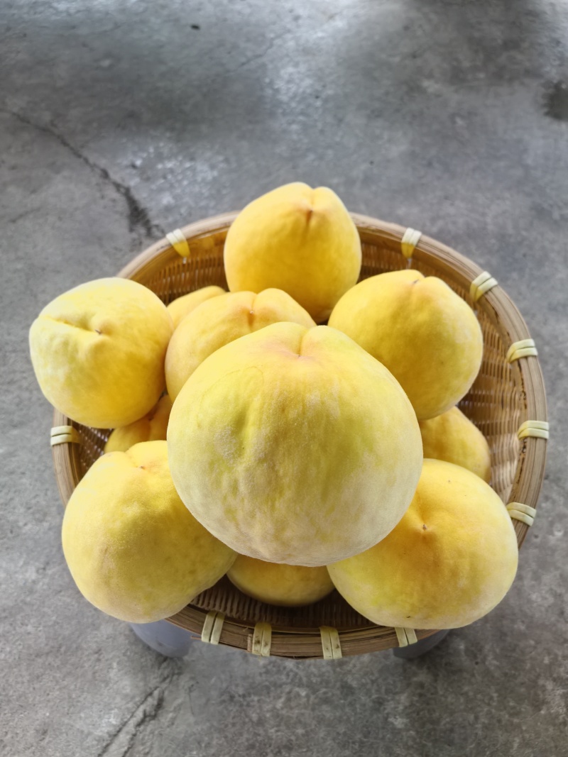 套袋黄桃