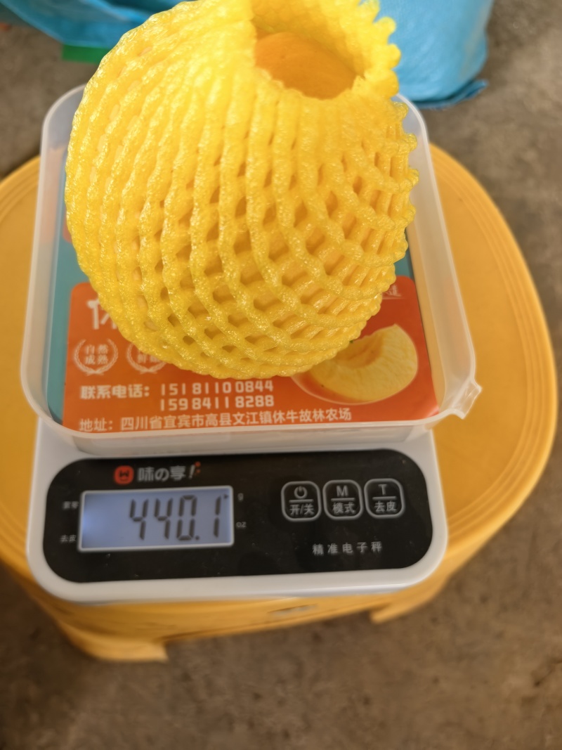 套袋黄桃