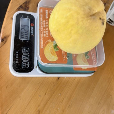 套袋黄桃