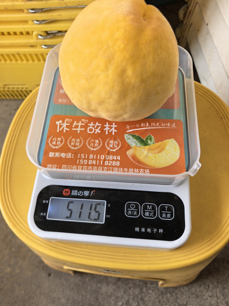 套袋黄桃