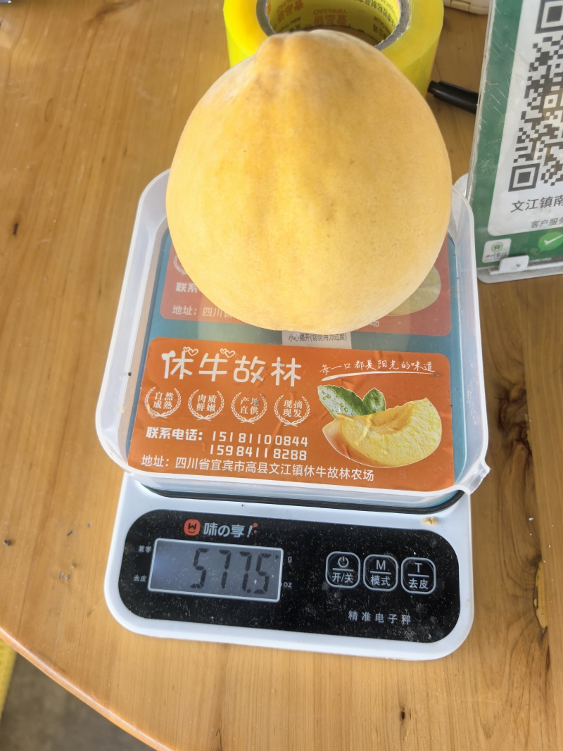 套袋黄桃
