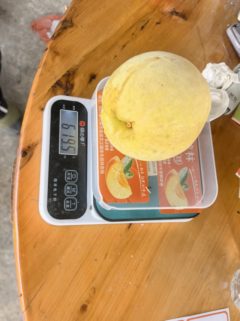 套袋黄桃
