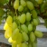 金蜜葡萄