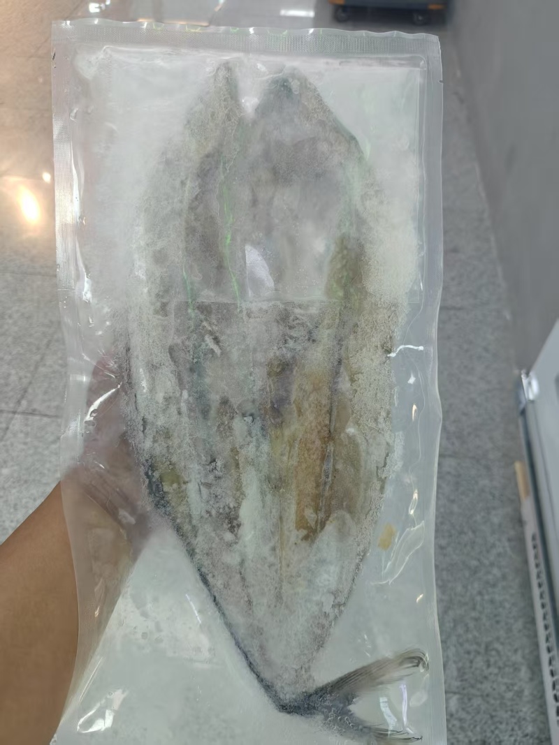 一卤鲜鲅鱼（燕鲅）