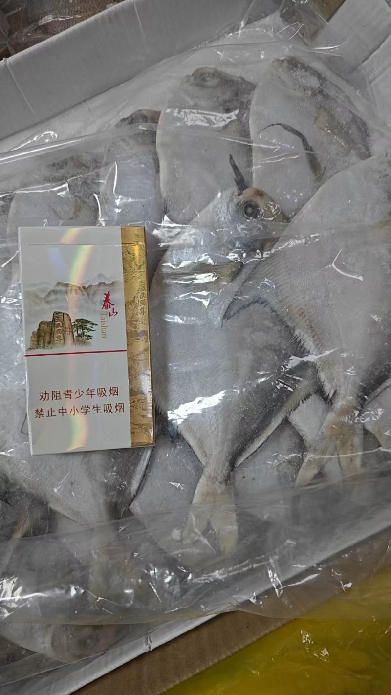 鲳鱼