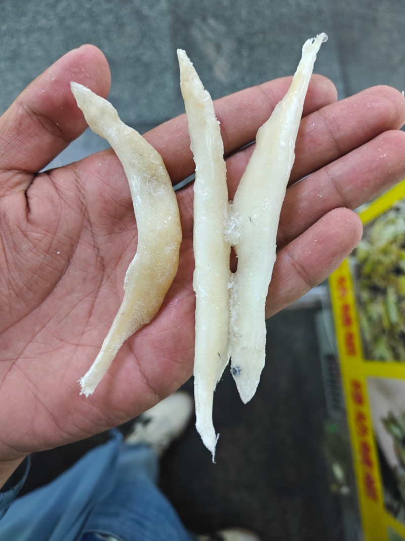 银鱼