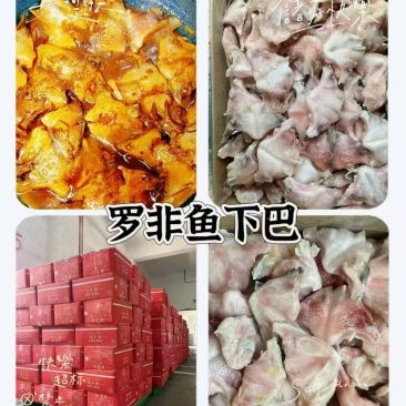 鱼下巴
