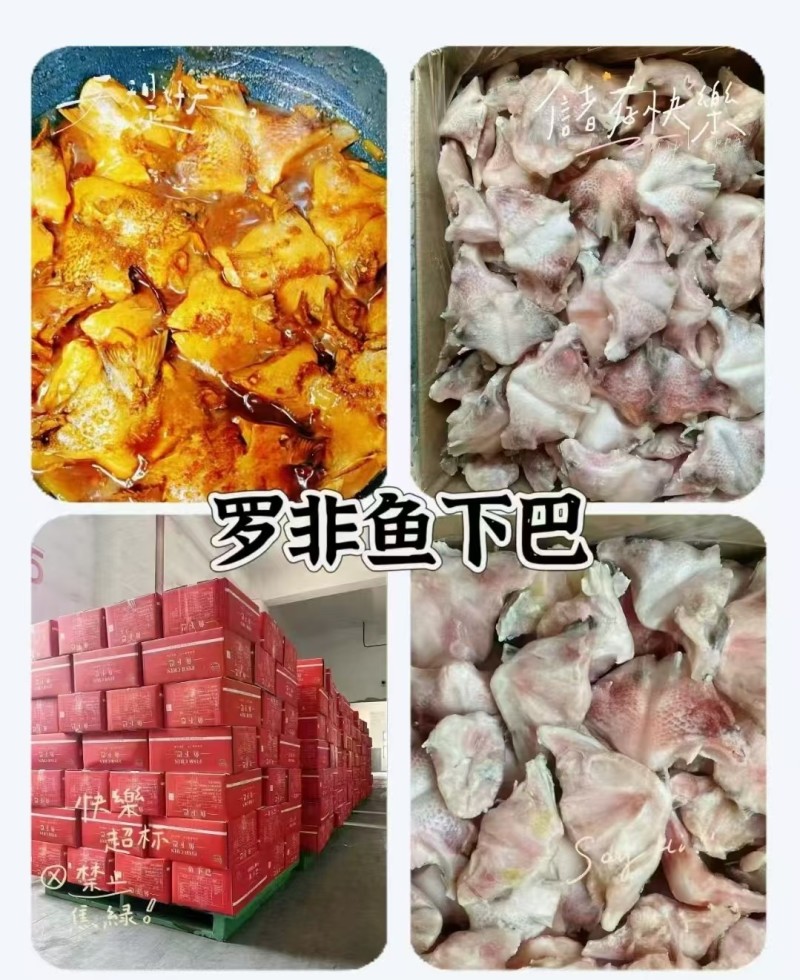 鱼下巴