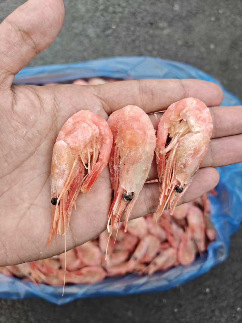北极甜虾