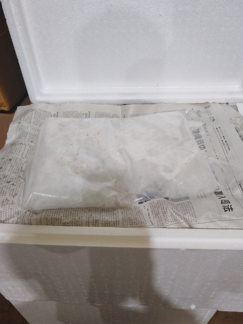 云南薄荷全年供货
