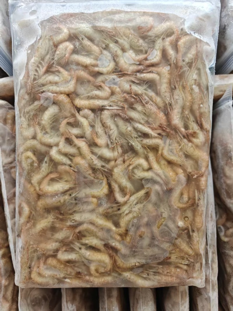 活冻小河虾