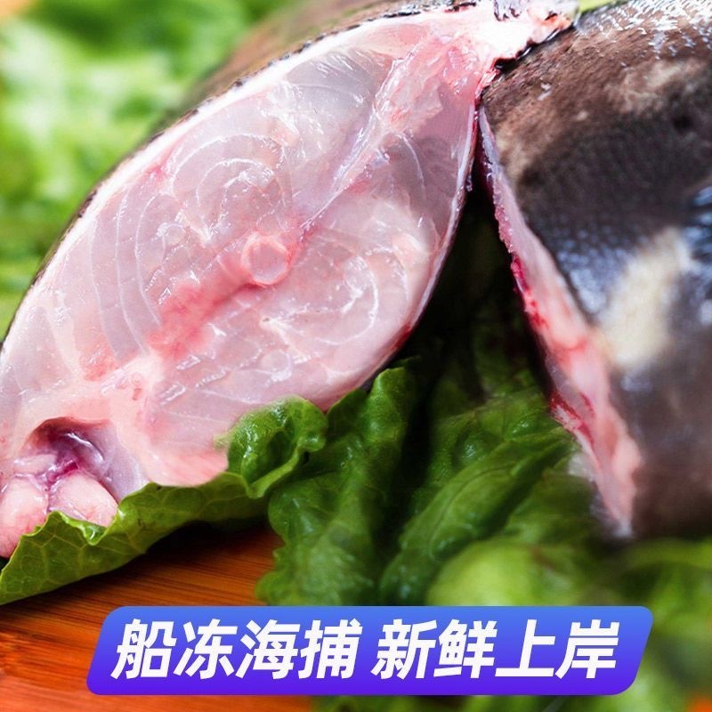 龙胆石斑鱼