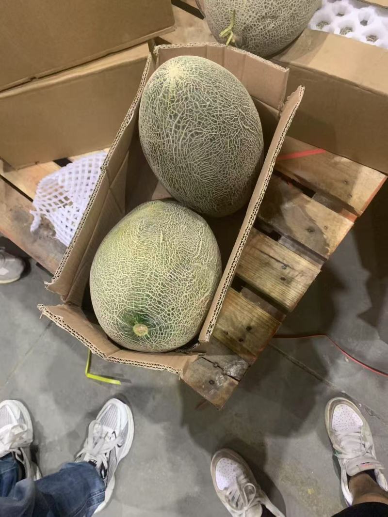 残次品有部是好瓜腾仓库，3000元打包处理，差不多2000个