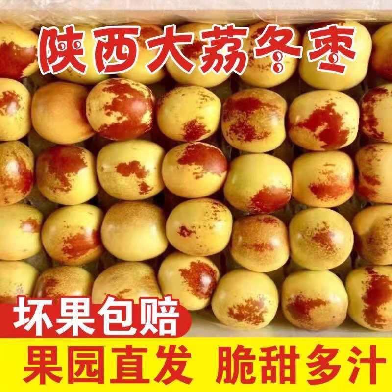 陕西大荔冬枣一件代发