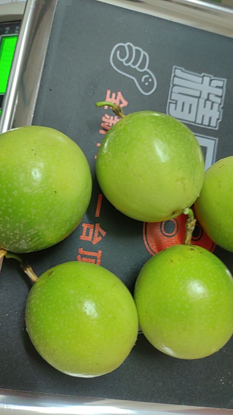 黄金百香果