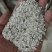 贝壳粉牡蛎粉