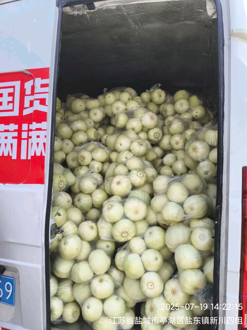 盐城本地香瓜