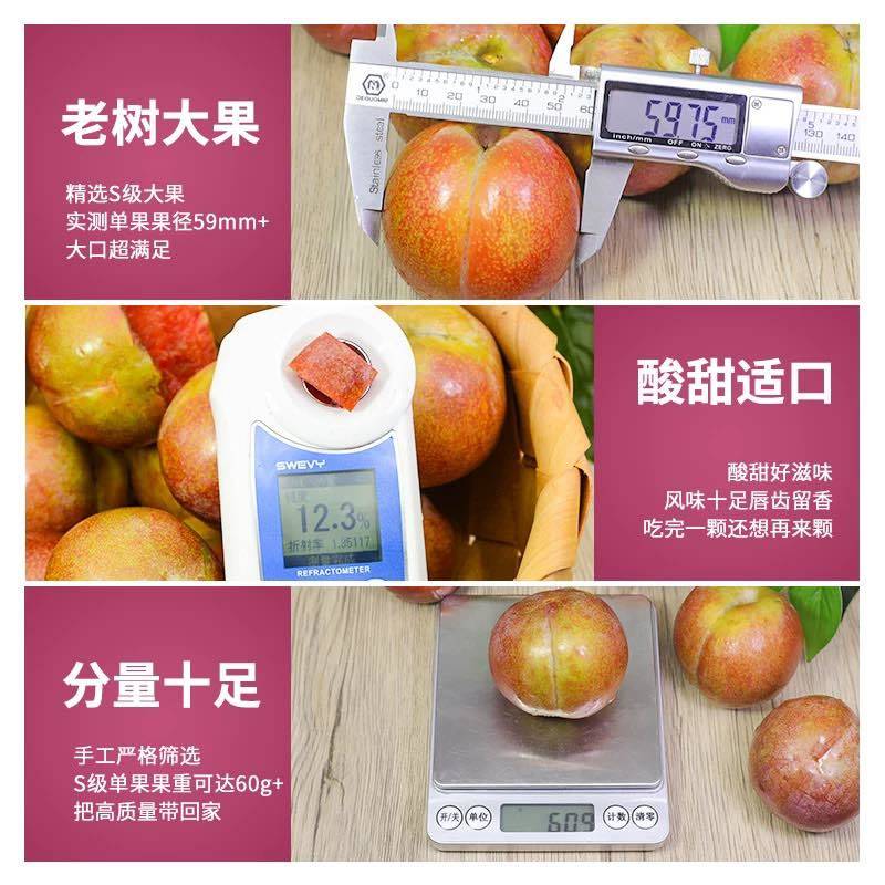 福建古田芙蓉李可电商一件代发可社区团购高品质售后率低