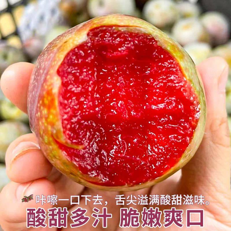 福建古田芙蓉李可电商一件代发可社区团购高品质售后率低