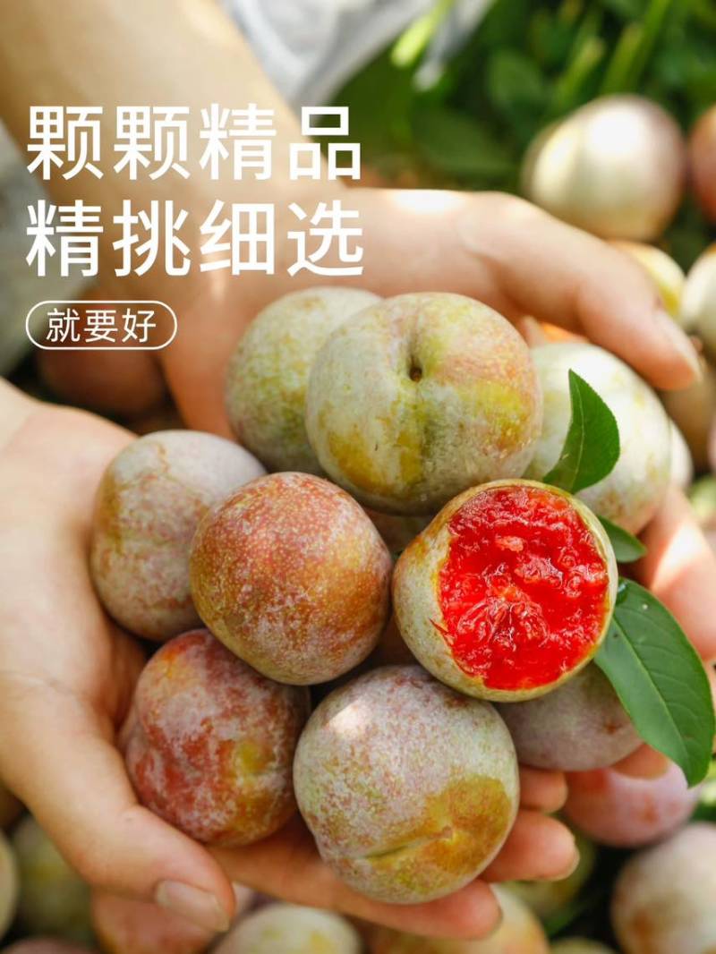 福建古田芙蓉李可电商一件代发可社区团购高品质售后率低