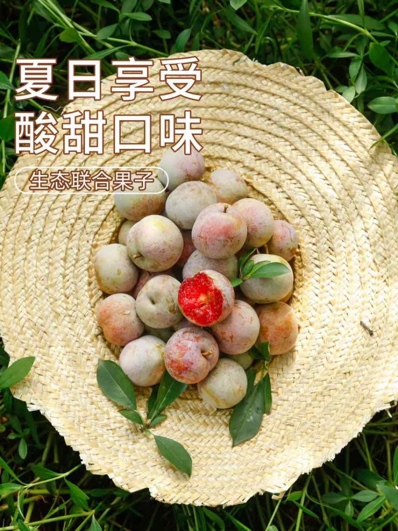 福建古田芙蓉李可电商一件代发可社区团购高品质售后率低