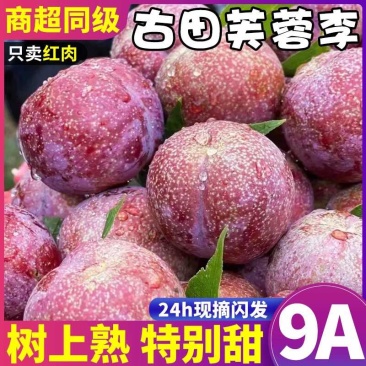 福建古田芙蓉李可电商一件代发可社区团购高品质售后率低