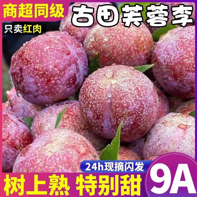 福建古田芙蓉李可电商一件代发可社区团购高品质售后率低