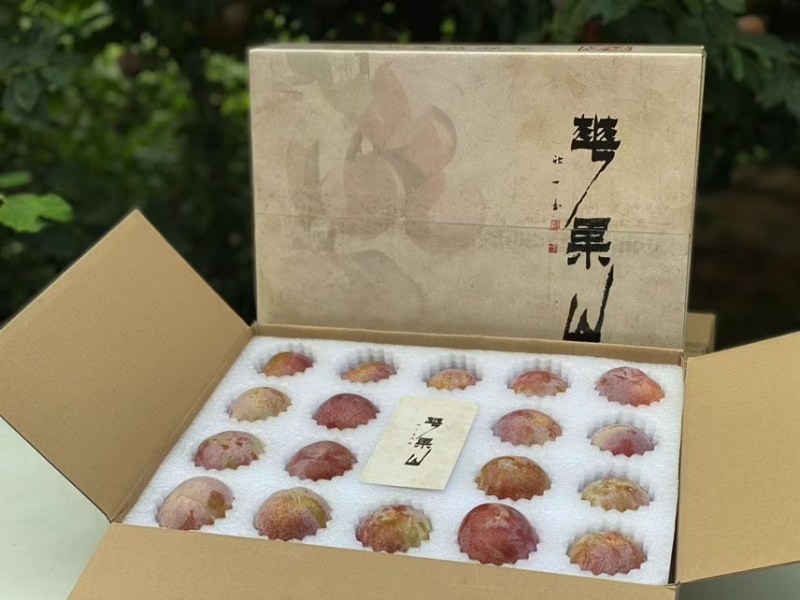 福建古田芙蓉李可电商一件代发可社区团购高品质售后率低