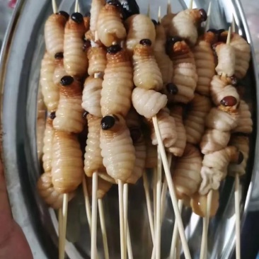 竹虫，甲克虫