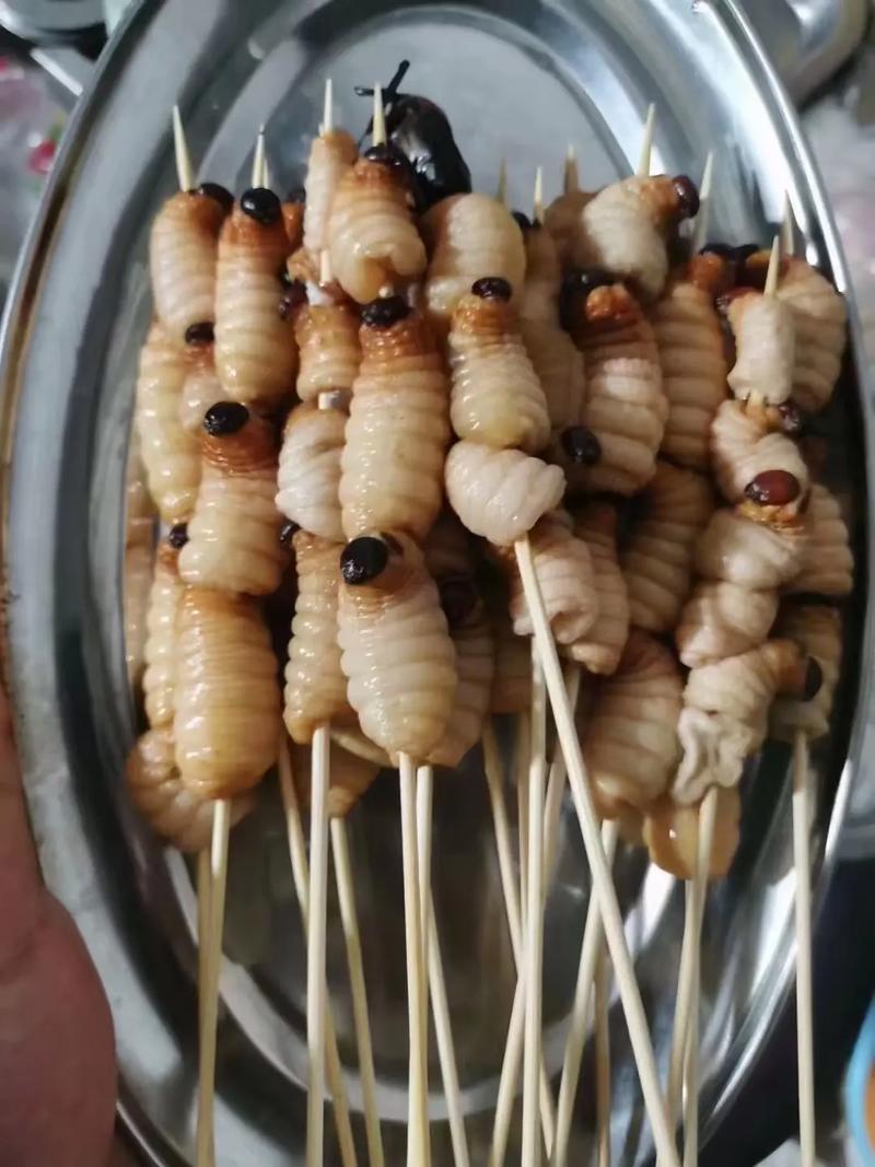 竹虫，甲克虫