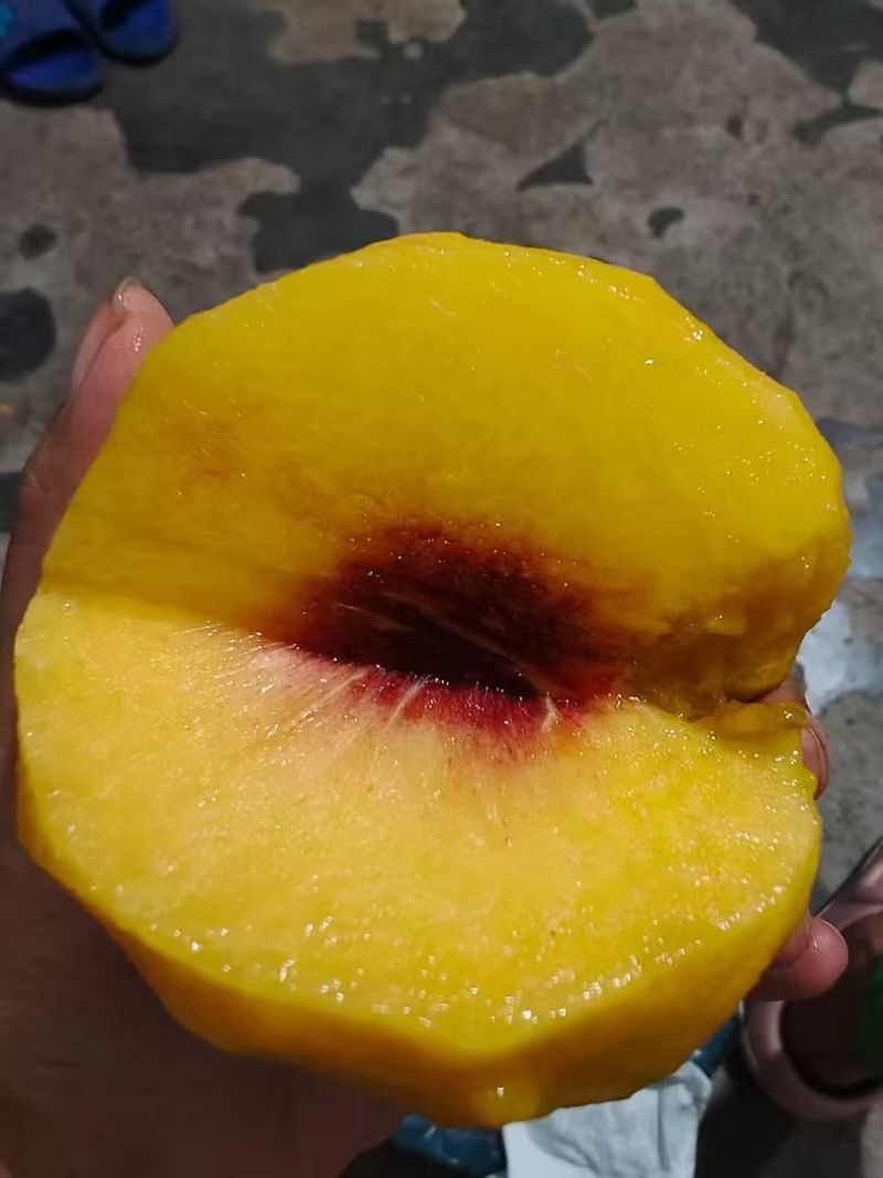 山黄桃