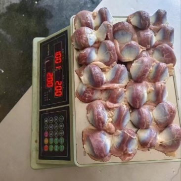 板冻鸭胗