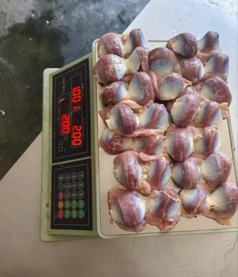 板冻鸭胗
