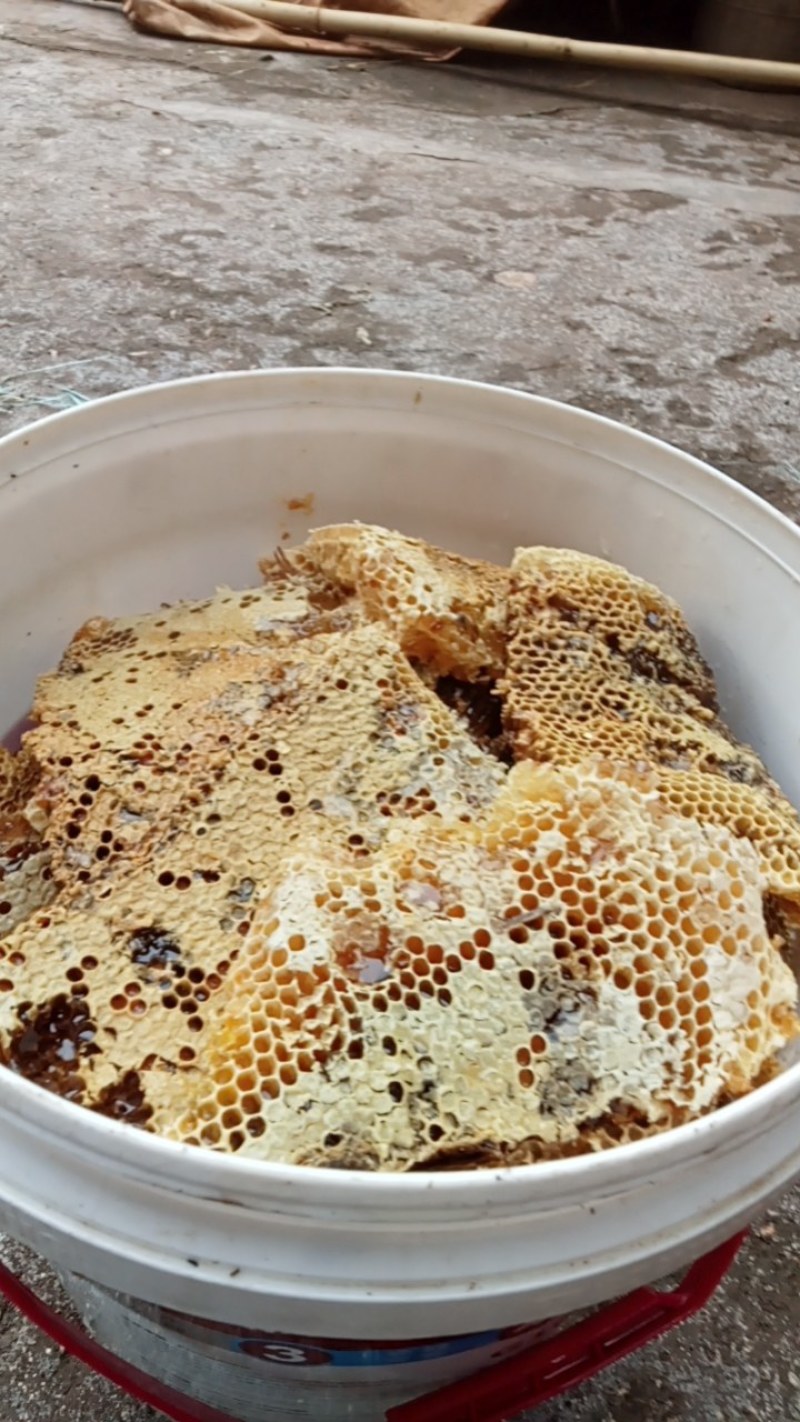 云阳正品土蜂蜜