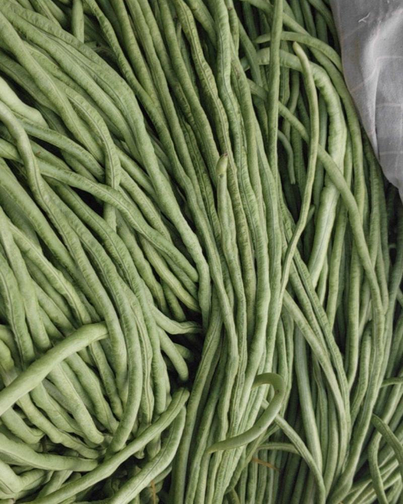 长豆角
