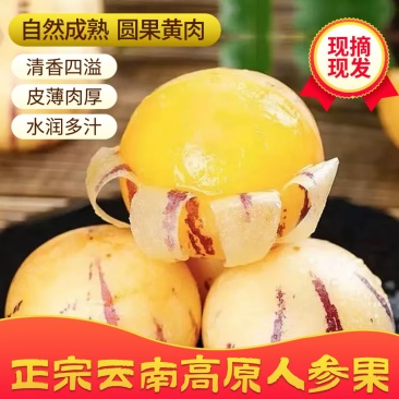 人参果