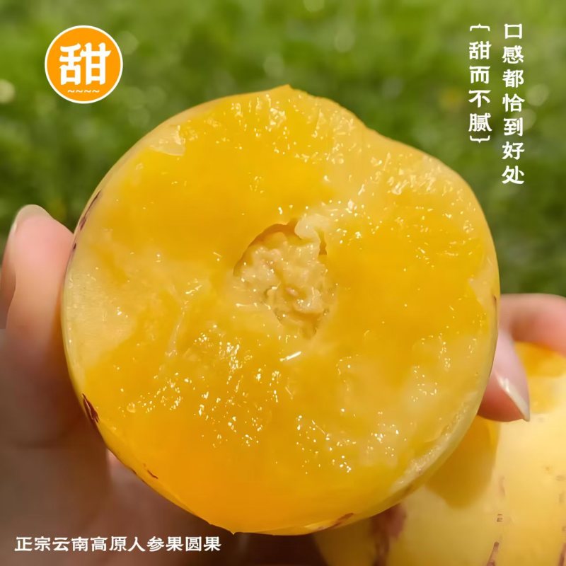 人参果