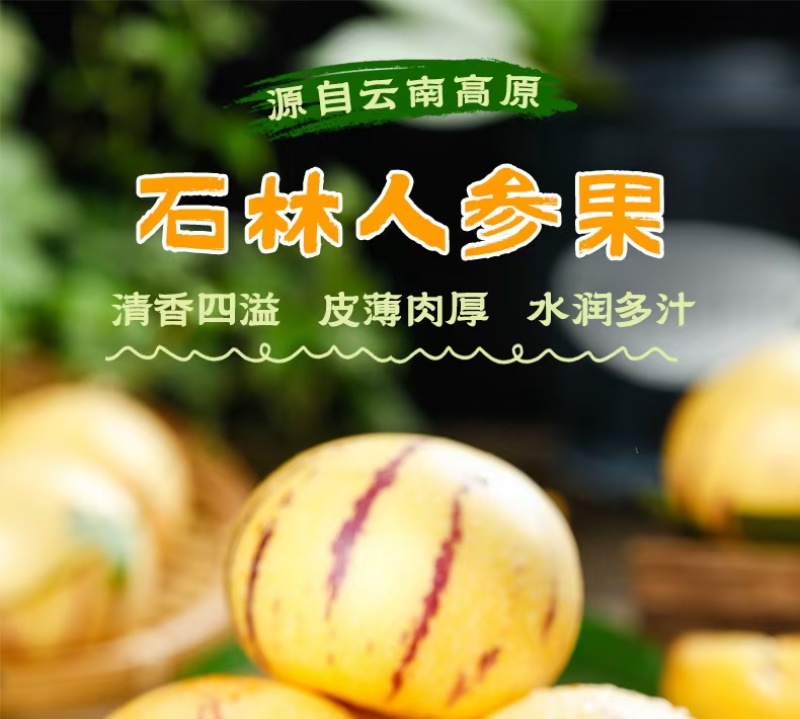 人参果