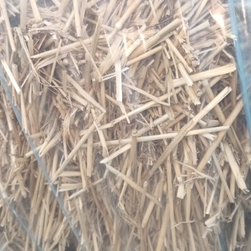 小方捆原草