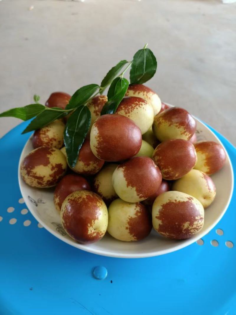 大荔冬枣