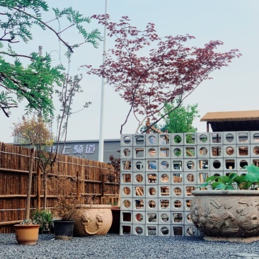 鲜花生